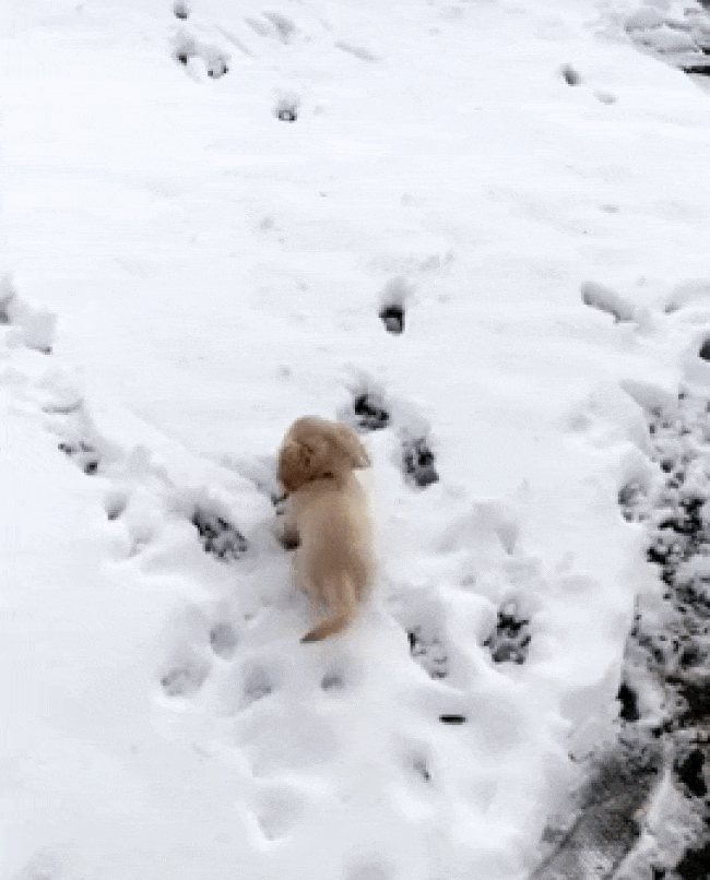 It's Winter Time (42 pics)