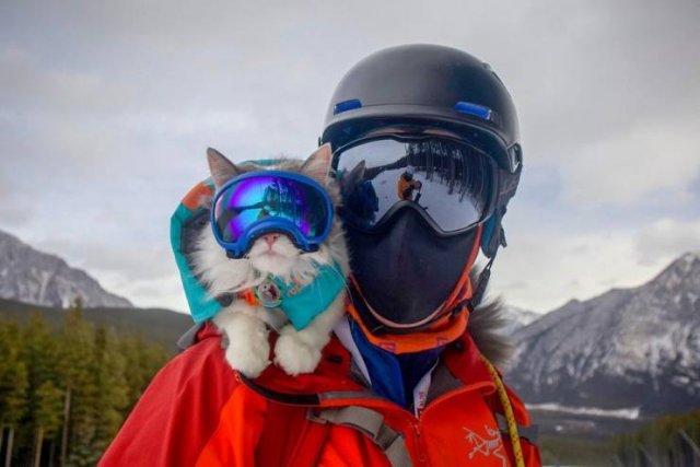 Awesome Things (45 pics)