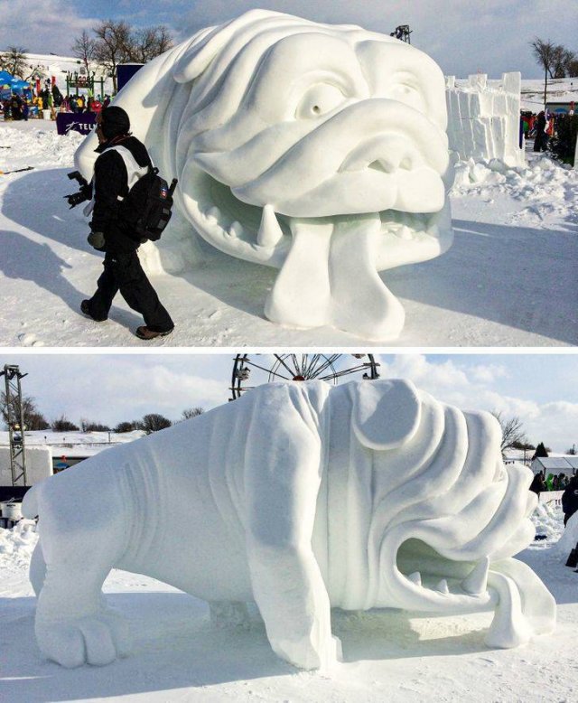 It's Winter Time (42 pics)