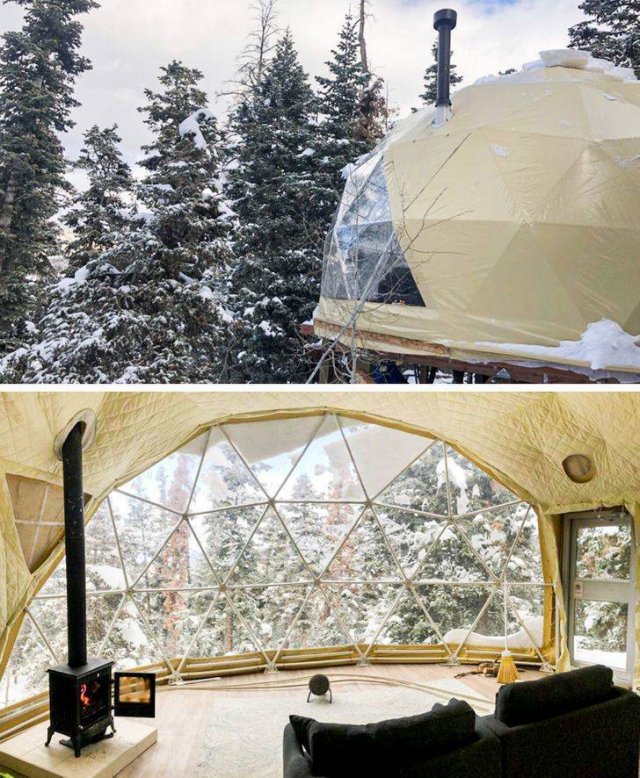 It's Winter Time (42 pics)