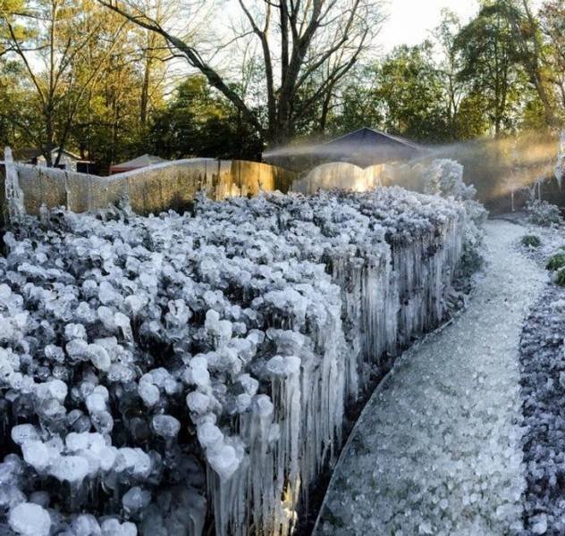 It's Winter Time (42 pics)