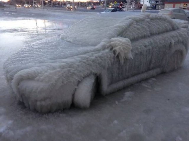 It's Winter Time (42 pics)