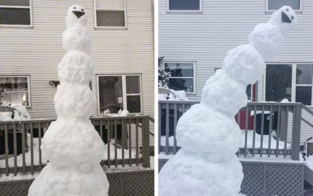 It's Winter Time (42 pics)