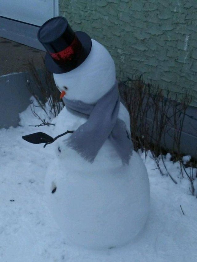It's Winter Time (42 pics)