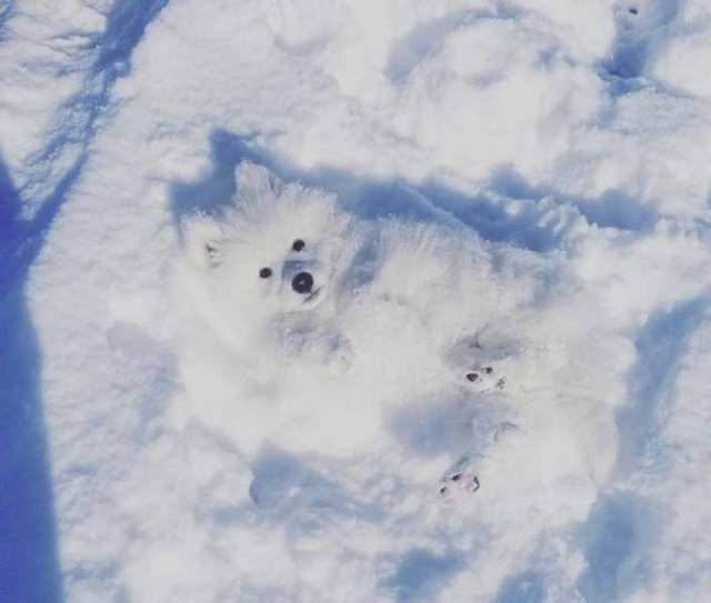 It's Winter Time (42 pics)