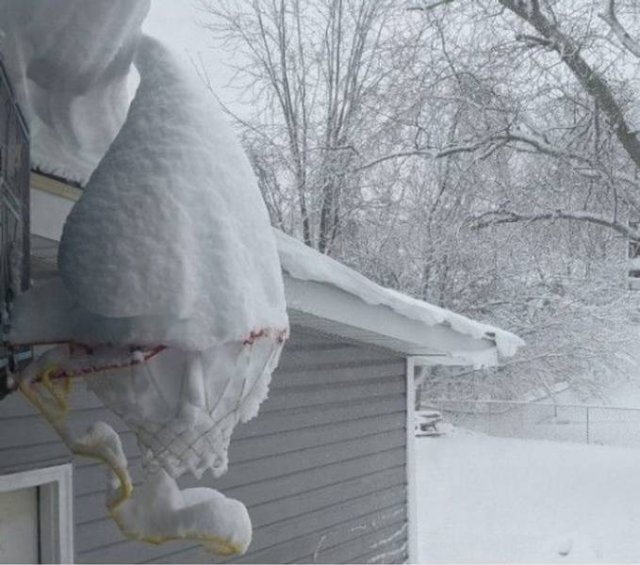 It's Winter Time (42 pics)