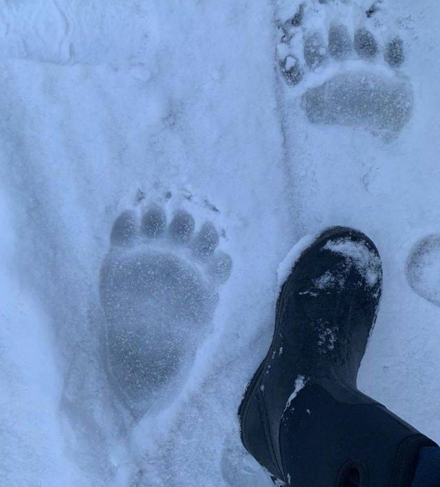 It's Winter Time (42 pics)