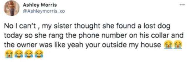 Funny Tweets (52 pics)