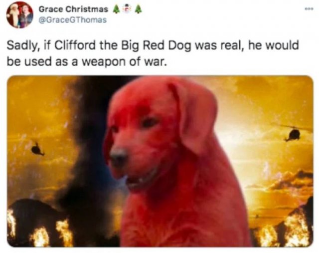 Funny Tweets (52 pics)