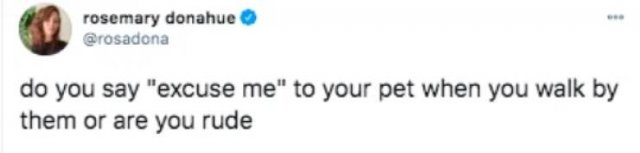 Funny Tweets (52 pics)