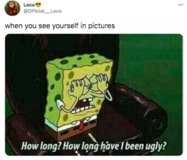 Funny Tweets (52 pics)