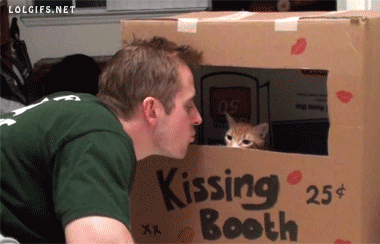 Acid Gifdump, December 22 (25 gifs)