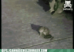 Acid Gifdump, December 22 (25 gifs)