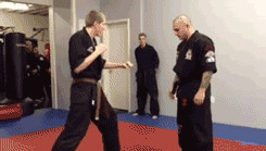 Acid Gifdump, December 22 (25 gifs)