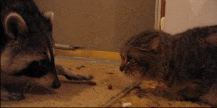 Acid Gifdump, December 22 (25 gifs)