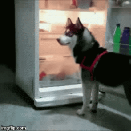 Acid Gifdump, December 22 (25 gifs)