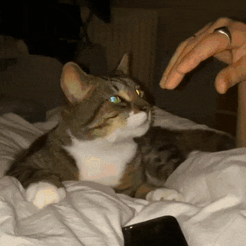 Acid Gifdump, December 22 (25 gifs)