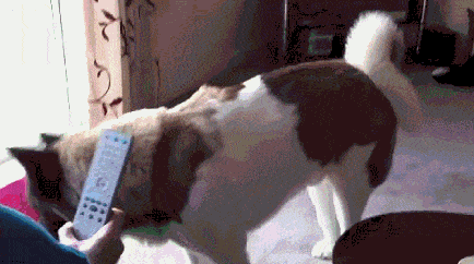 Acid Gifdump, December 22 (25 gifs)