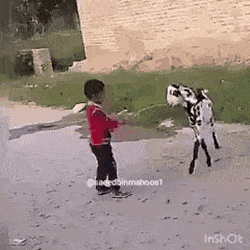 Acid Gifdump, December 22 (25 gifs)