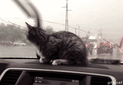 Acid Gifdump, December 22 (25 gifs)