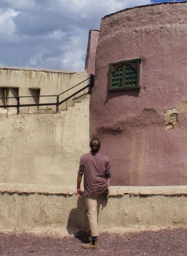 Accidental Camouflage (20 pics) Accidental Camouflage (20 pics)