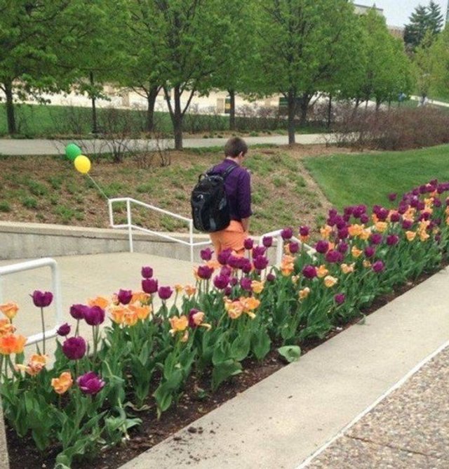 Accidental Camouflage (20 pics) Accidental Camouflage (20 pics)