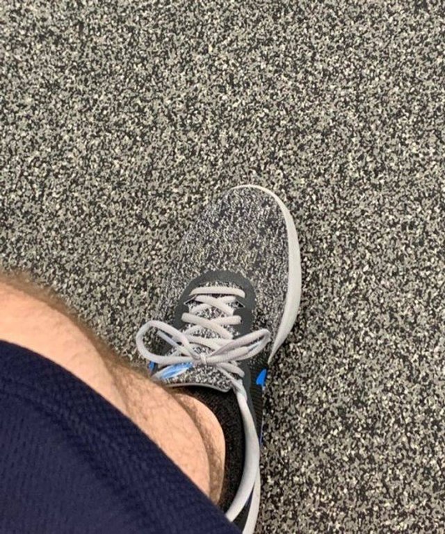 Accidental Camouflage (20 pics) Accidental Camouflage (20 pics)