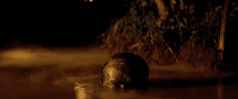 Great Movie Opening Lines (19 gifs) Great Movie Opening Lines (19 gifs)