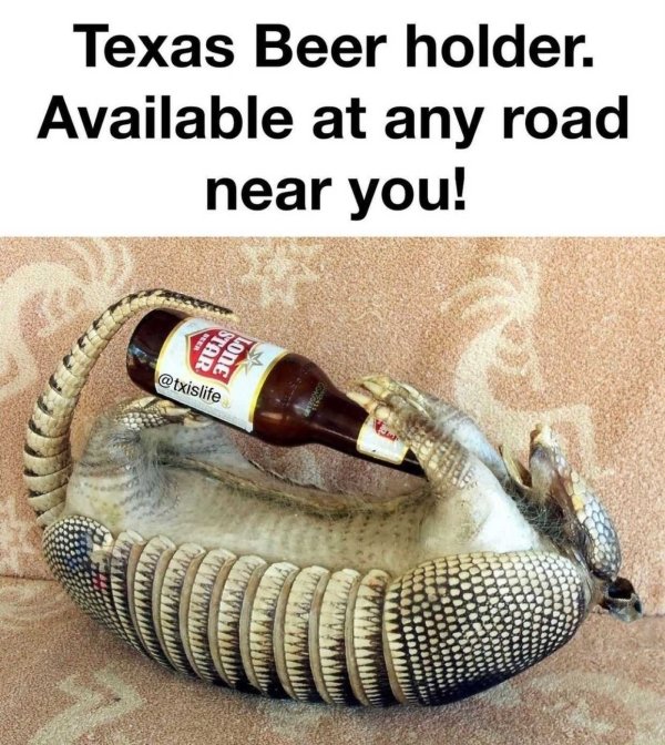 Texas Memes (33 pics)