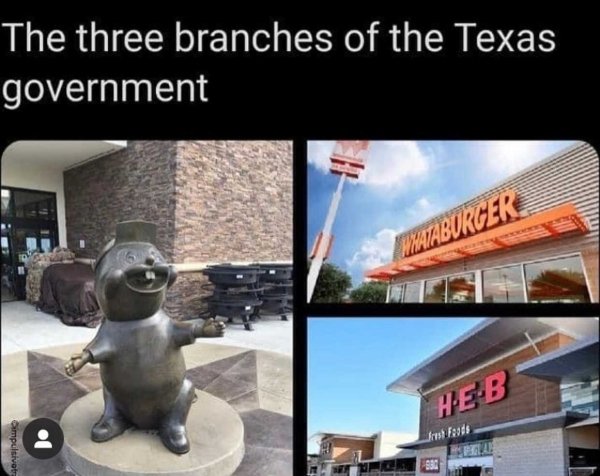 Texas Memes (33 pics)