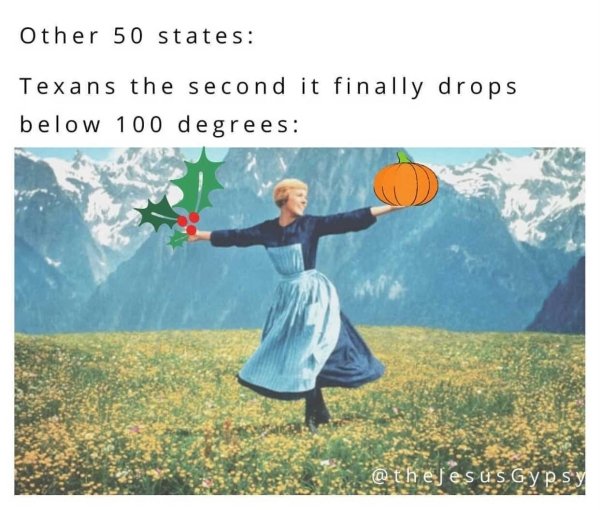 Texas Memes (33 pics)