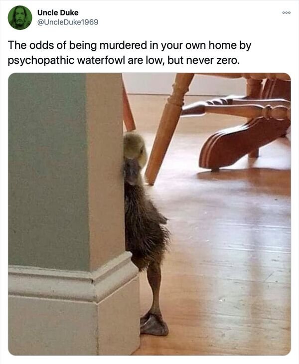 Random Funny Memes (31 pics)