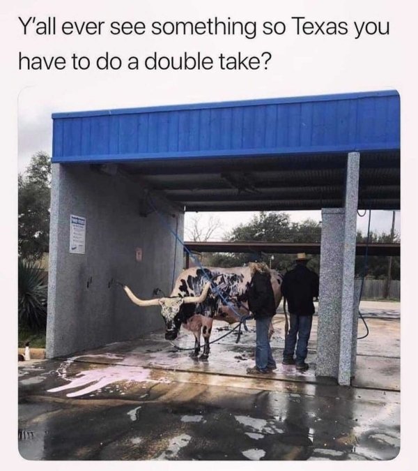 Texas Memes (33 pics)