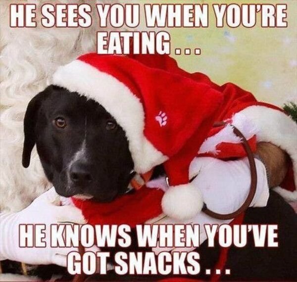 Random Funny Memes (31 pics)
