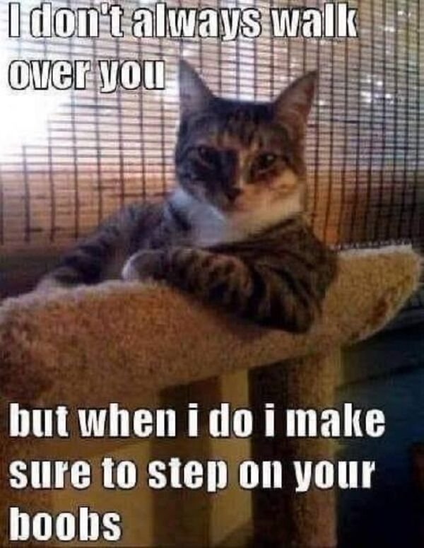 Random Funny Memes (31 pics)