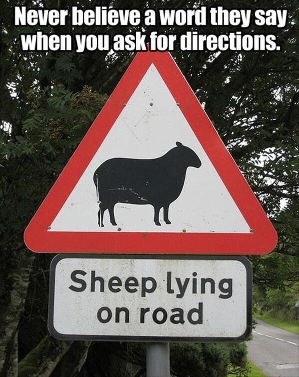 Random Funny Memes (31 pics)