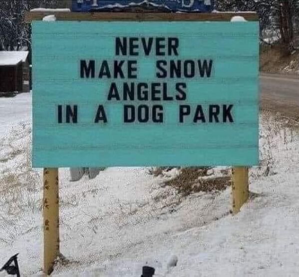 Random Funny Memes (31 pics)