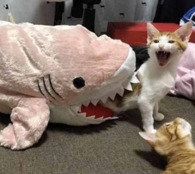 Acid Picdump. Part 2 (94 pics)