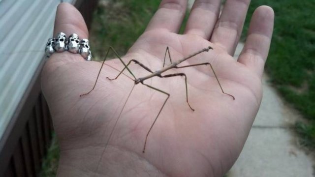 Acid Picdump. Part 2 (94 pics)