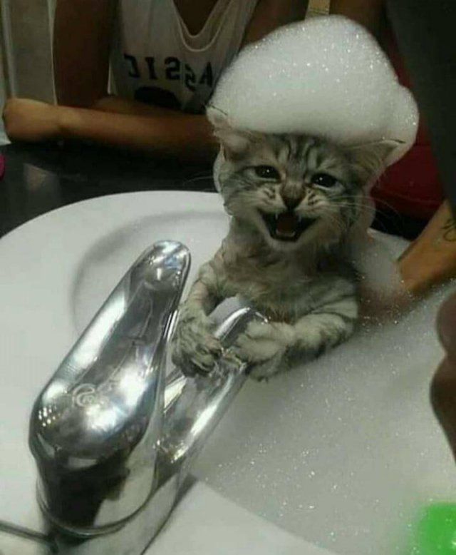 Acid Picdump. Part 2 (94 pics)