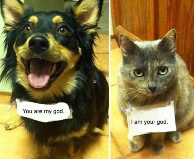 Acid Picdump. Part 2 (94 pics)