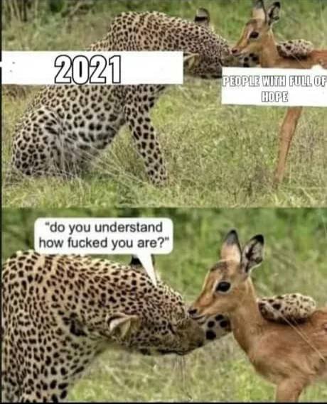 Acid Picdump. Part 2 (94 pics)