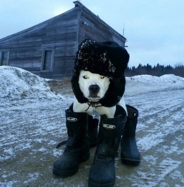 Acid Picdump. Part 2 (94 pics)