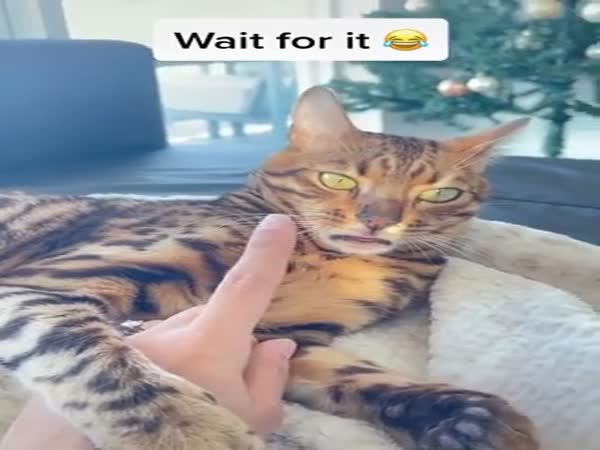 Don't Even Think About It