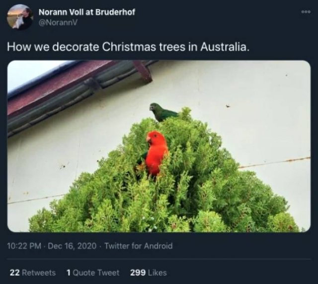 Christmas In Australia (27 pics)