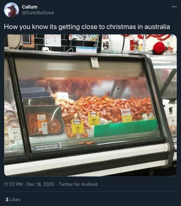 Christmas In Australia (27 pics)