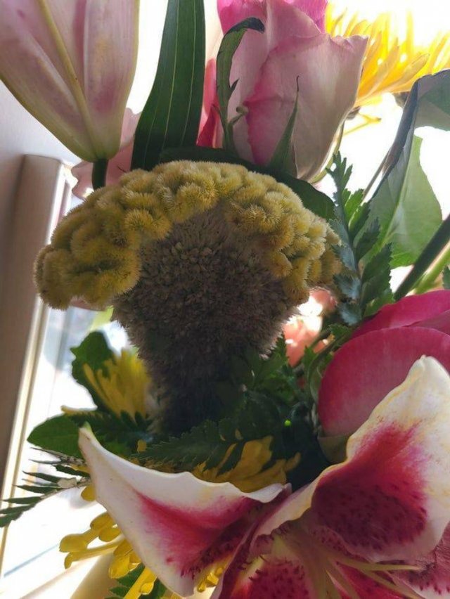 Heartwarming Surprises For Loved Ones (16 pics)