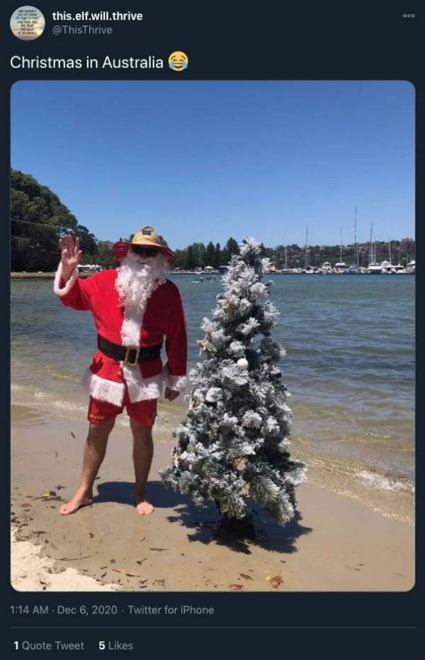 Christmas In Australia (27 pics)