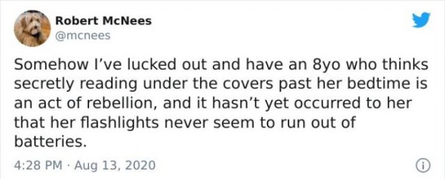 Parenting Tweets (50 pics)