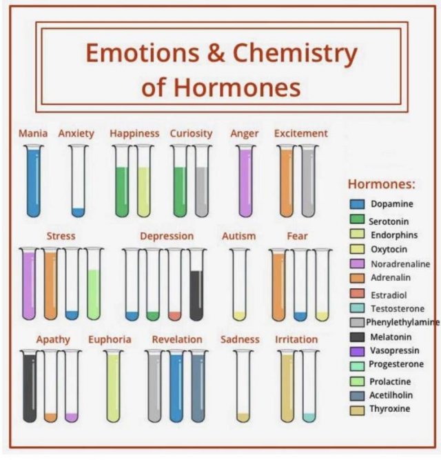 Interesting Charts (27 pics)